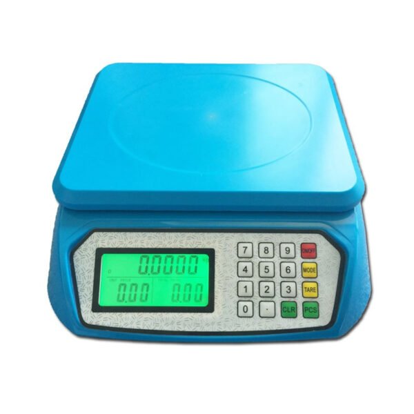 Digital Mini Electronic Scale